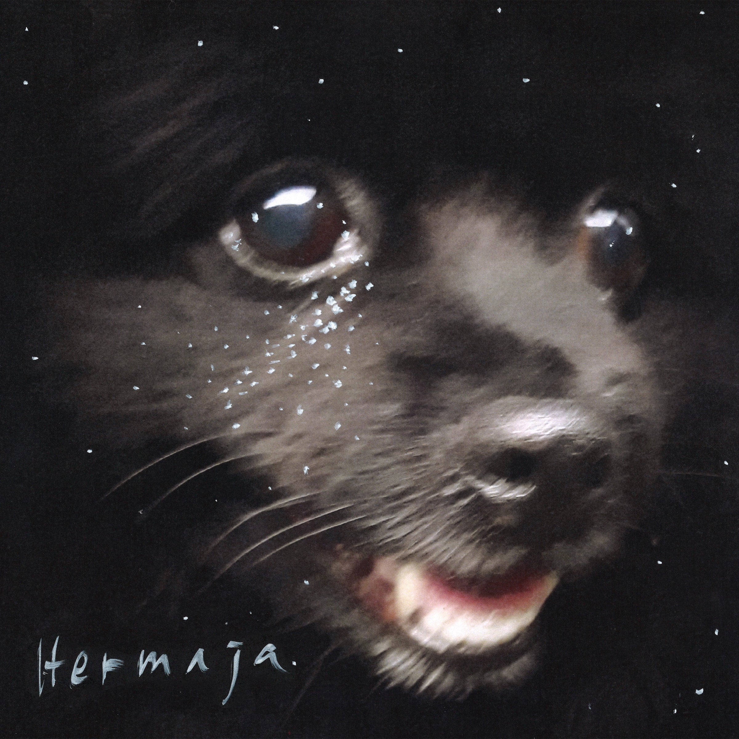 Hermaja - LP - Kultasuoni
