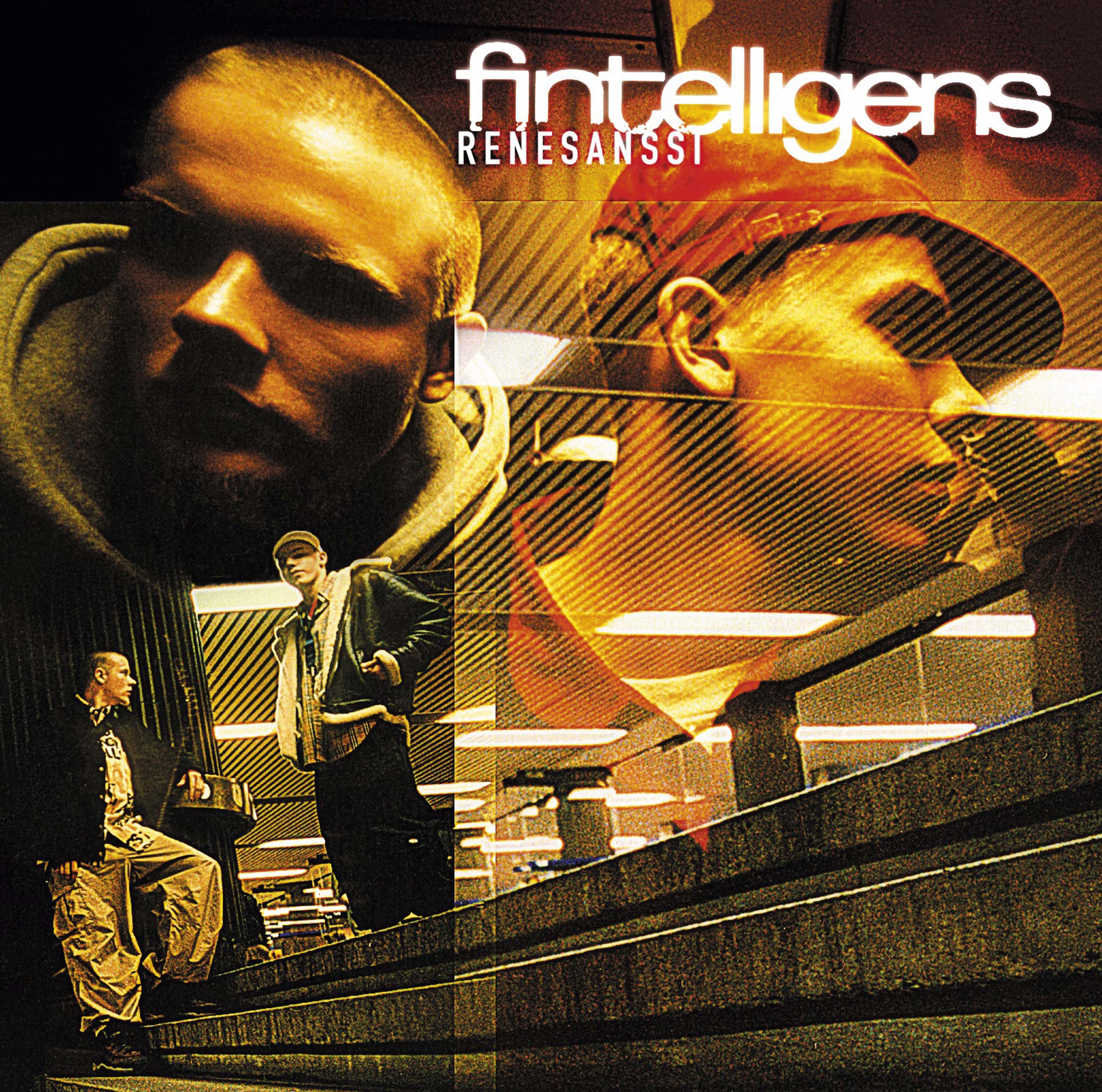 Fintelligens - 2LP -  Renesanssi