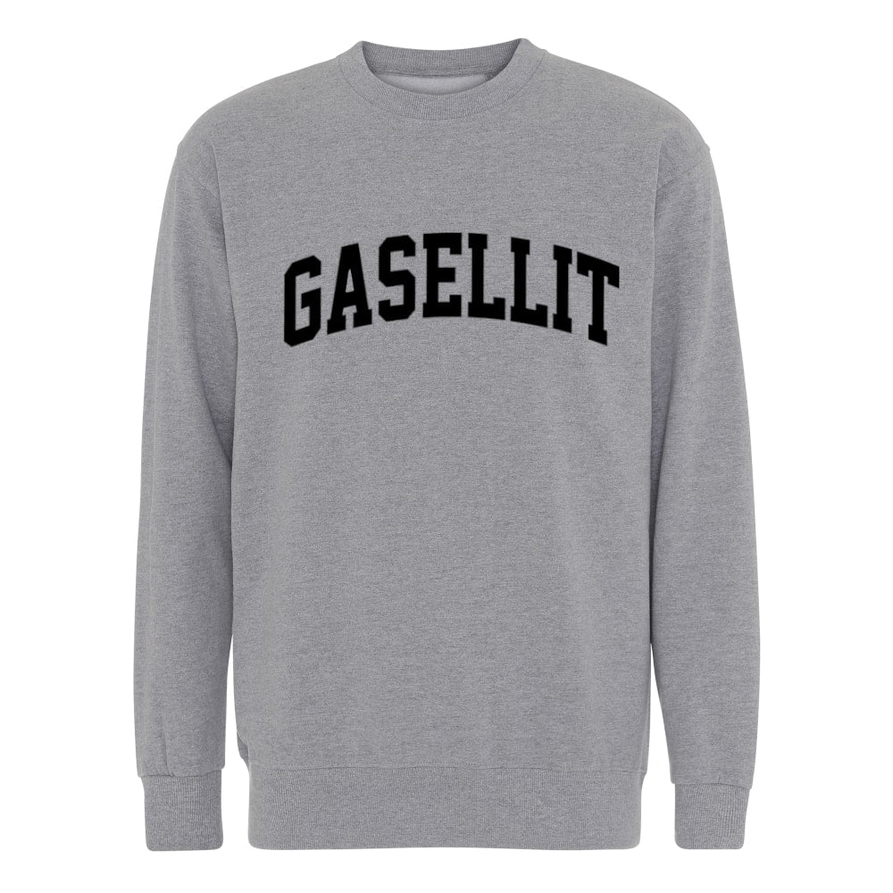 Gasellit - College - Teksti