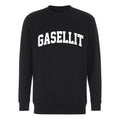 Gasellit - College - Teksti