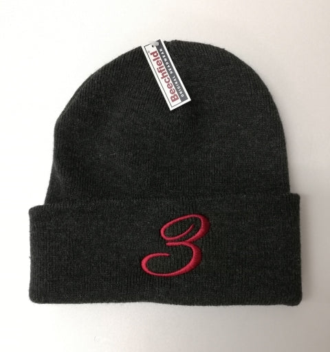 3rd Rail Beanie