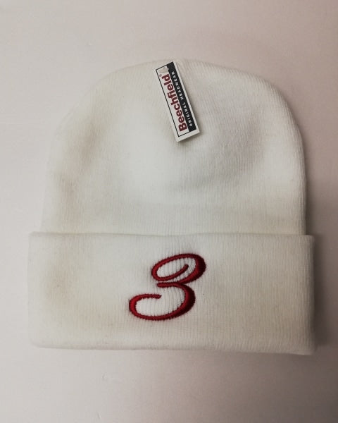 3rd Rail Beanie