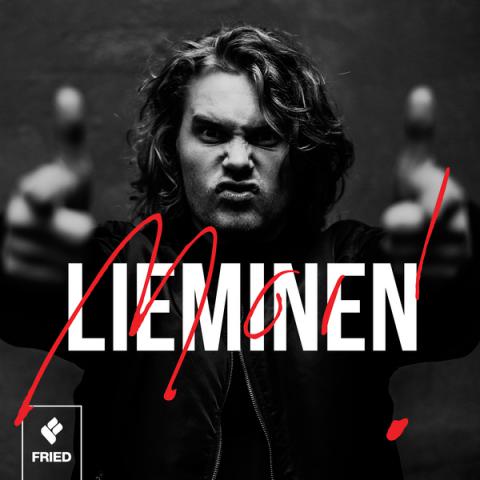 Lieminen - LP - MOI!