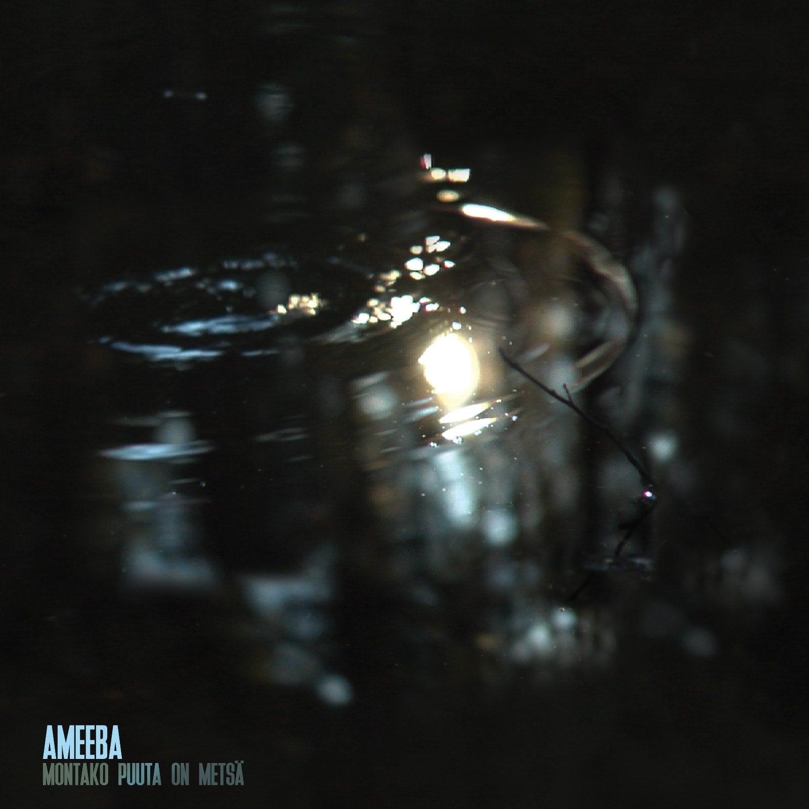 Ameeba - Montako puuta on metsä LP