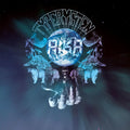 Ilkka Kalevi Tillanen &amp; Rantaremmi - CD/LP - Typerysten Aika