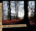 Puisto-Osasto - CD - Asfalttikin Voi Pettää