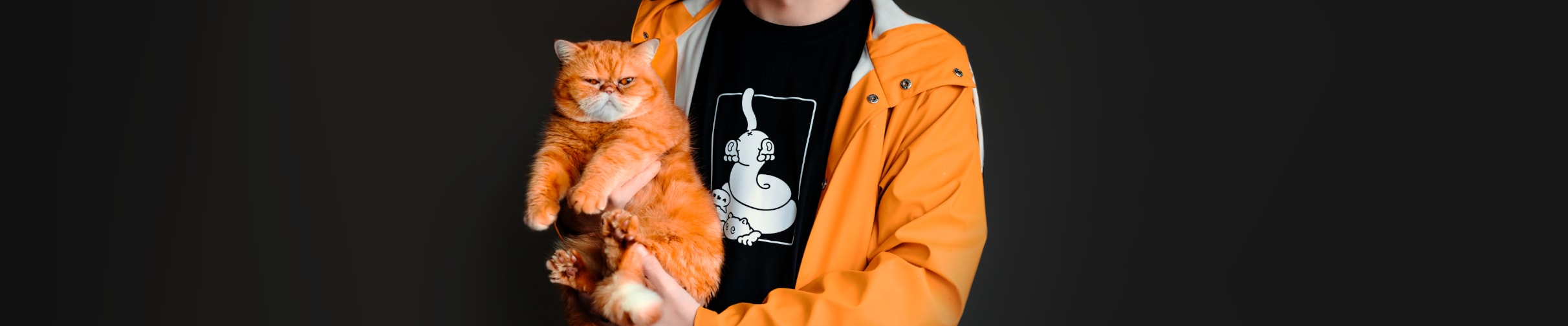 Sansa-kissan fanituotteet nyt myynnissä! | Hel Goods